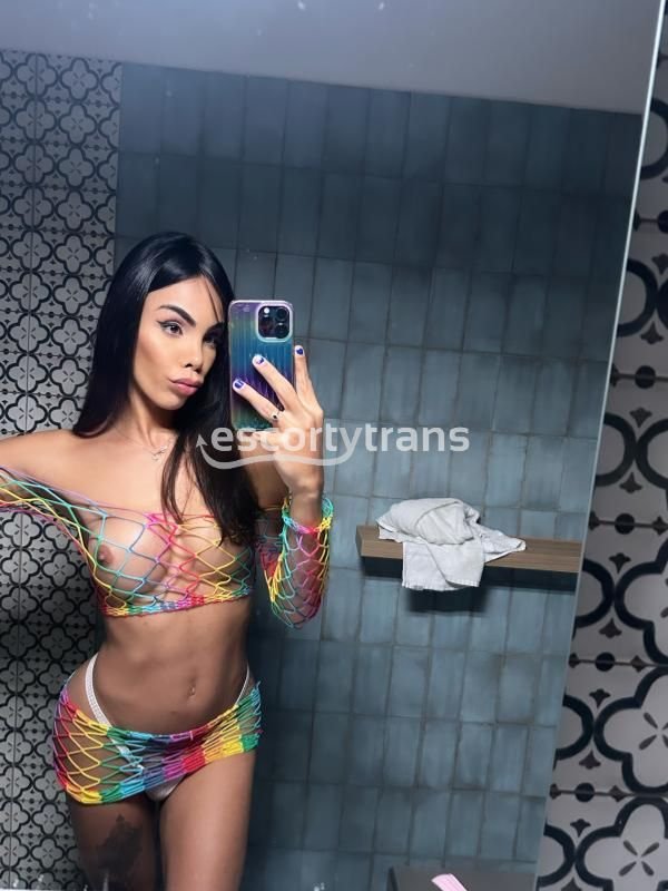 Trans Nayara