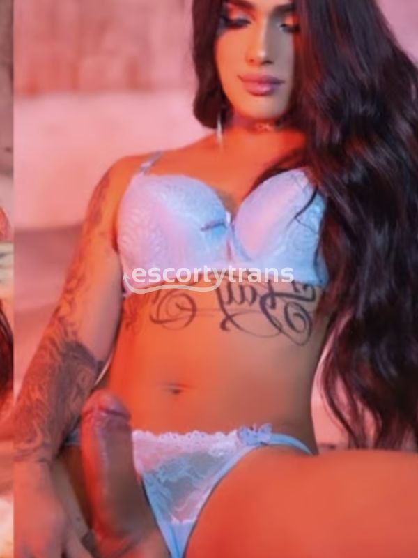 Trans Mirella