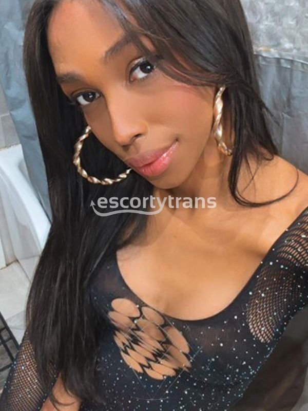 Trans Felly Lima